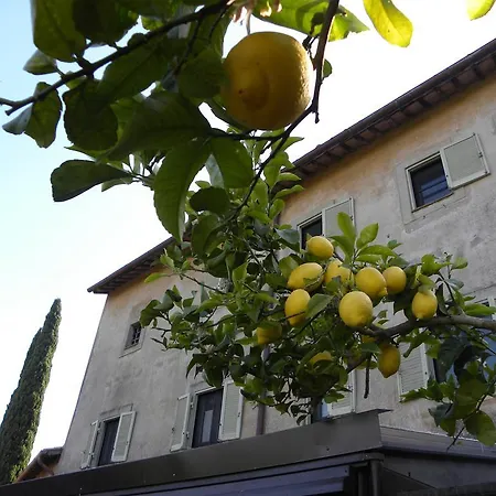 Borgo Di Ceri B&B Ceri